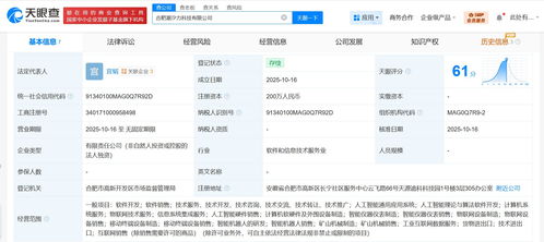科大訊飛在合肥成立潮汐力科技公司，拓展信息系統集成服務新篇章